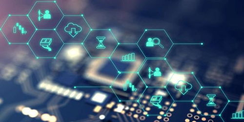 新致軟件 毛利率與研發(fā)費率不及同行，高負債與財務費用侵蝕盈利，軟件研發(fā)與推廣面臨挑戰(zhàn)