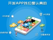 玉樹小程序開發(fā)公司 專業(yè)軟件研發(fā)與高效推廣服務